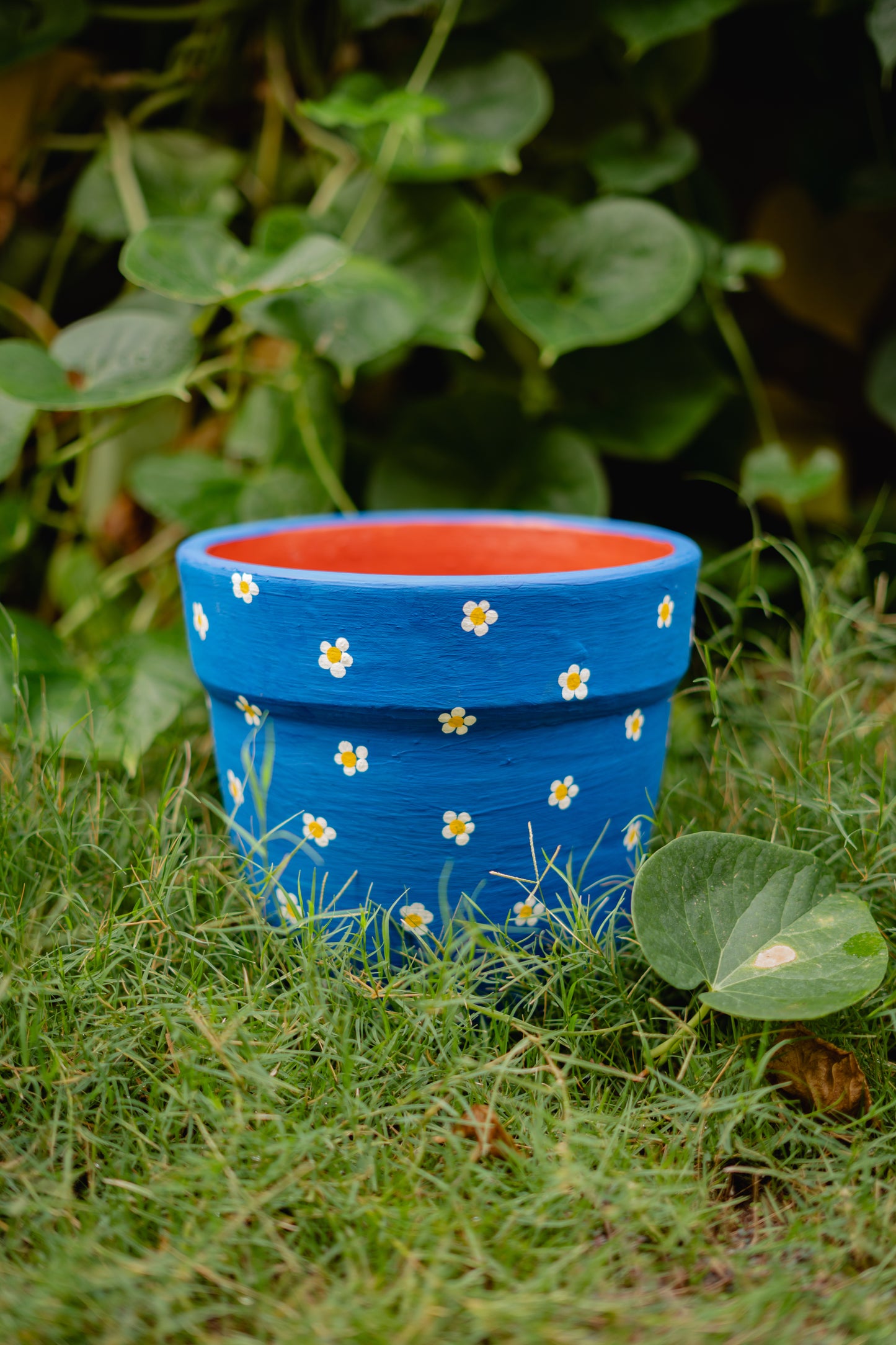 Blooming Beauties - Blue