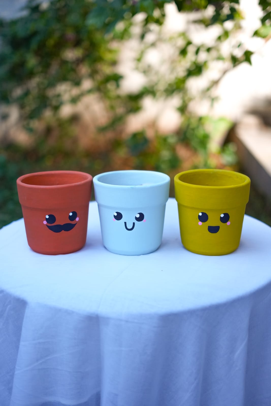 Terracotta Treasures- Mini Pots