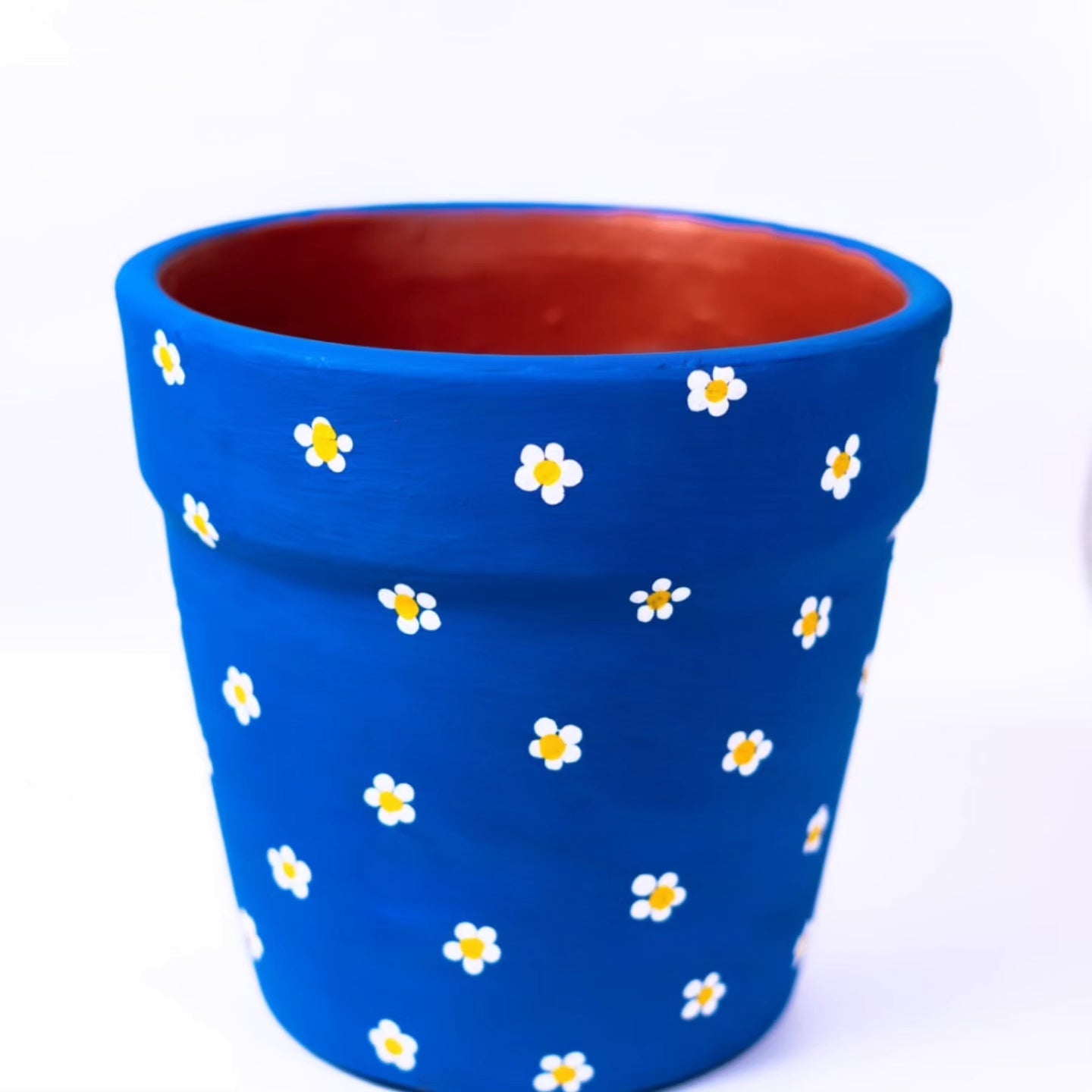 Terracota Treasures - Mid Sized Pots