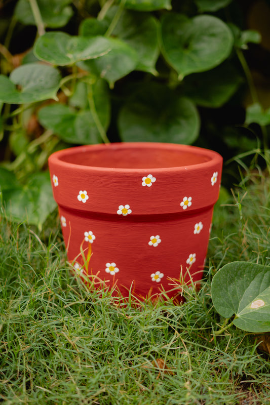 Blooming Beauties - Wine