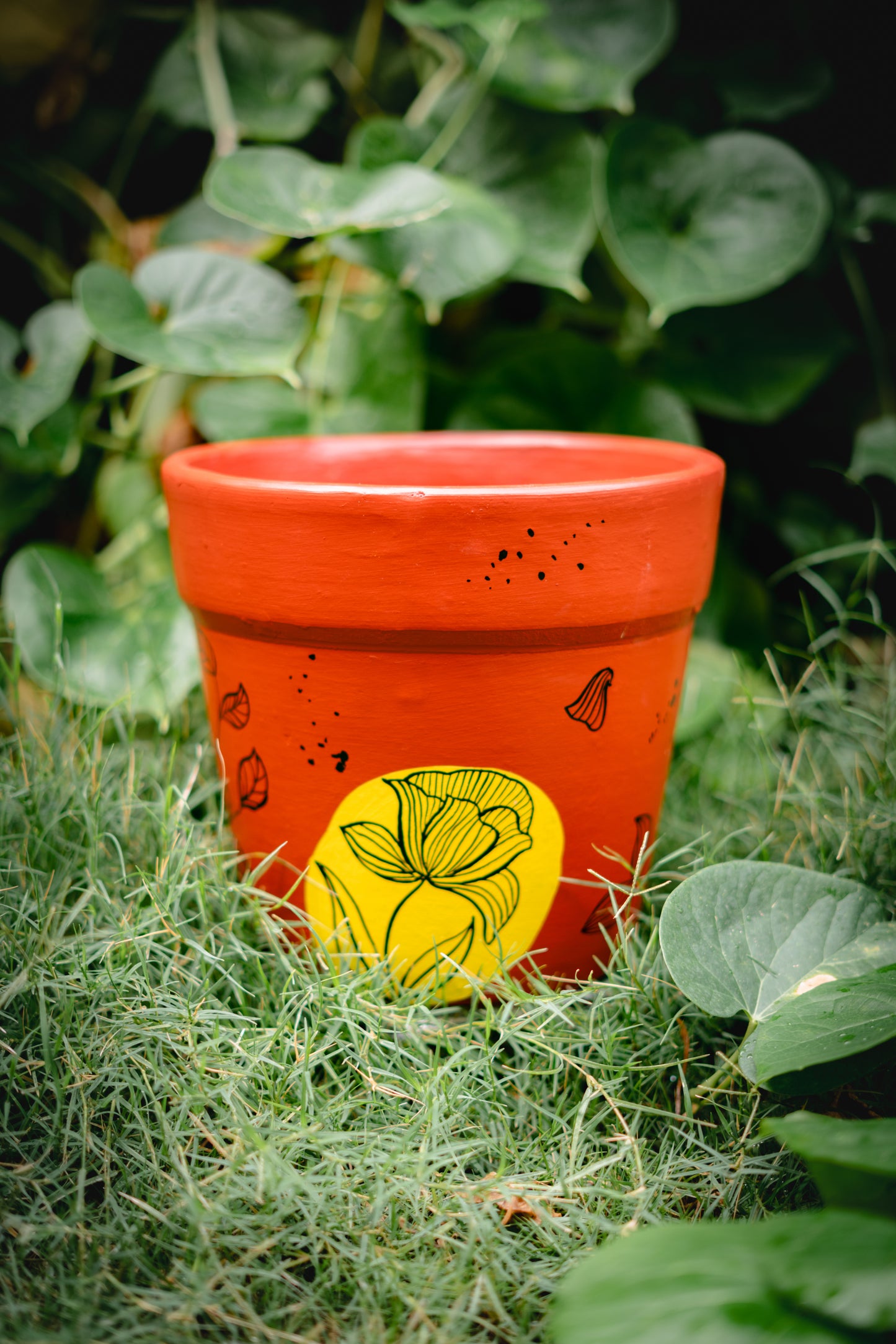 Lotus - Black and Yellow