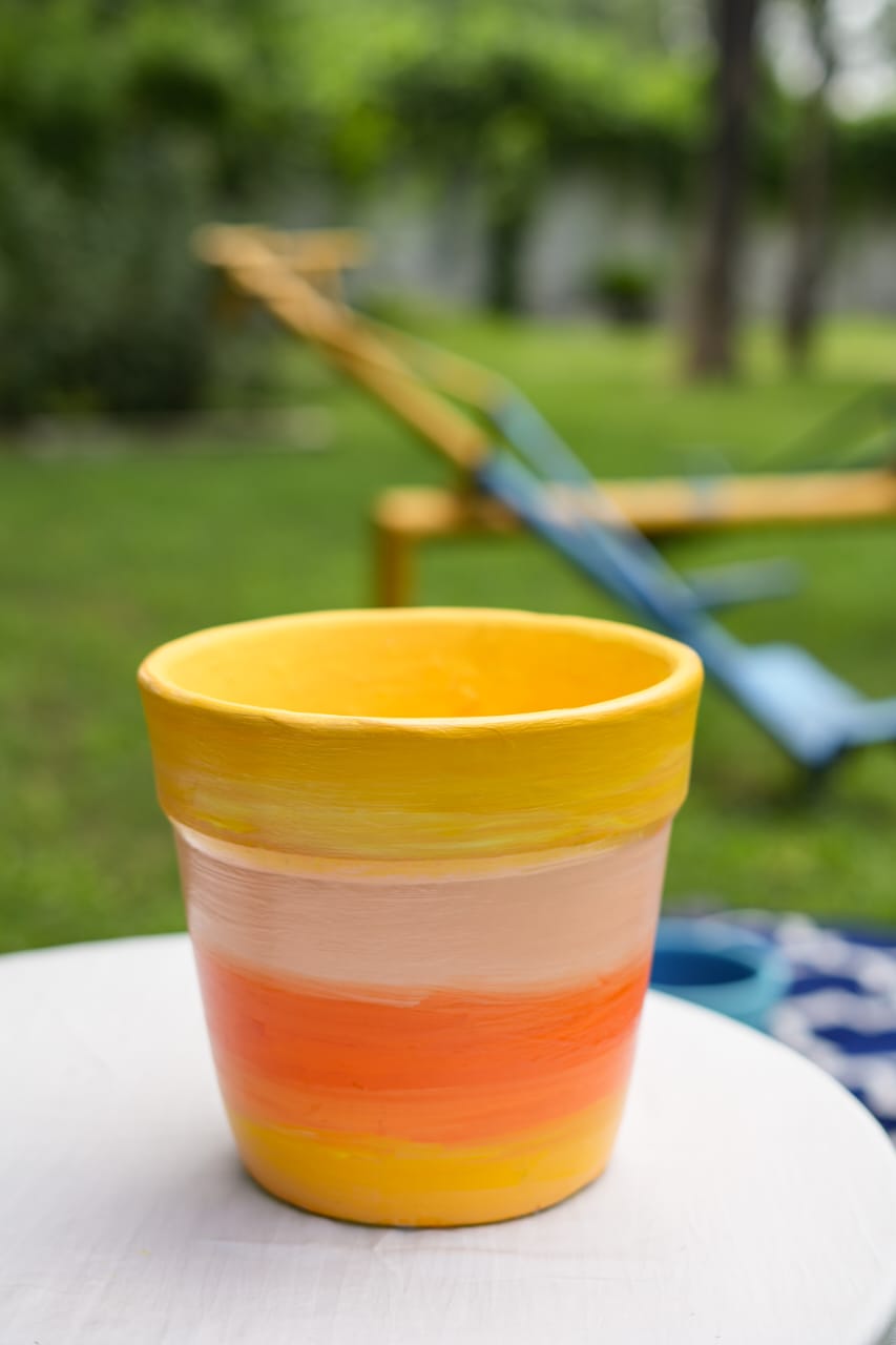 Coastal Charm - Yellow