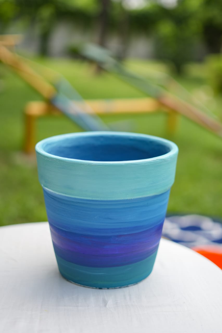 Coastal Charm - Blue